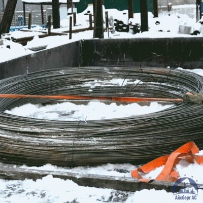 Проволока овальная 0,22х0,3-1-55 ГОСТ 3875-83 купить в Мелитополь